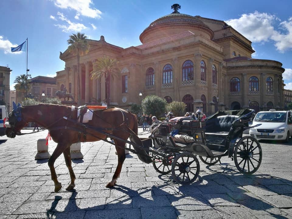 All'Ombra Del Massimo Palermo Dış mekan fotoğraf